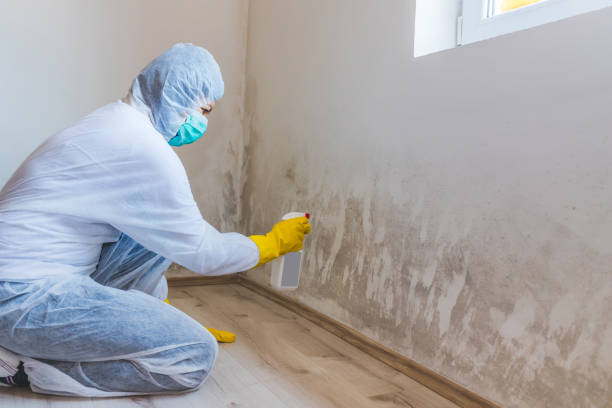 Licensed Commercial Mold Remediation service in Union City, NJ - WQB Mold Removal