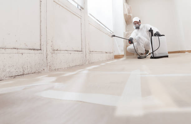 24/7 Emergency Commercial Mold Remediation experts in Union City, NJ