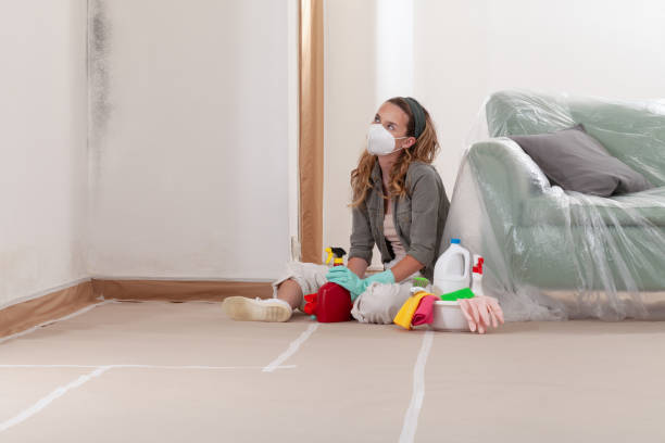 Reliable Commercial Mold Remediation contractor in Union City, NJ by WQB Mold Removal