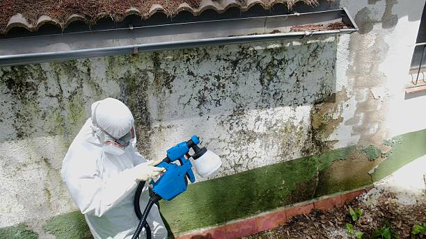 Top rated local Commercial Mold Remediation specialists in Union City, NJ